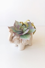 Furniture Plant 5