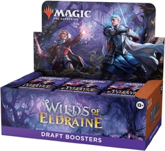 MTG: Wilds of Eldraine Draft Boosters