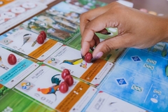 BG: Wingspan - Asia Expansion