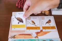 BG: Wingspan - Asia Expansion