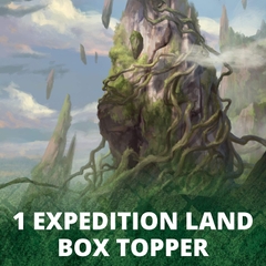 Zendikar Rising Draft Booster
