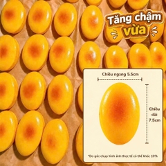 Squishy HT Mochi Vàng - Hồng