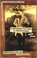 A Supposedly Fun Thing I'll Never Do Again: Essays and Arguments