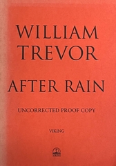 After Rain