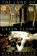 The Land of Green Plums