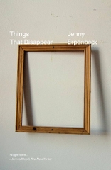 Things That Disappear: Reflections and Memories