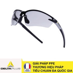 Kính bảo hộ Deltaplus FUJI2 CLEAR (FUJI2NOIN)