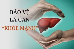 CÁC BIỆN PHÁP BẢO VỆ LÁ GAN KHỎE MẠNH