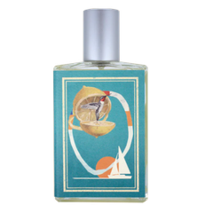 Falling Into The Sea