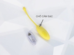 Trứng Rung Tinh Trùng Điều Khiển Từ Xa