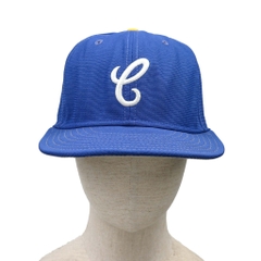 Vintage New Era USA Pro Model Baseball Cap