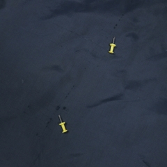 Vtg 70s Champion Fleece-lined Sport Jacket Size L