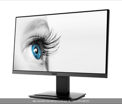 Màn hình MSI PRO MP223 (21.45 inch/FHD/VA/100Hz/250 nits/1ms/HDMI+VGA)