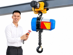 Pa lăng xích điện Bison 2 tấn 6m 220V lắp con chạy điện