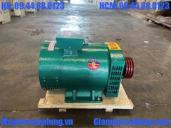 Củ phát điện SUPER FIGHTER 15KW 380V