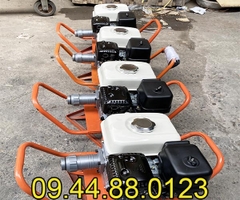 Đầm dùi chạy xăng Rakuda GX160