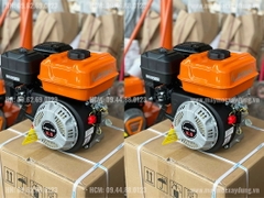 Động cơ xăng Lifan 160 5.5HP