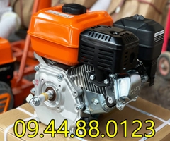 Động cơ xăng LIFAN 160 5.5HP