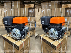 Động cơ xăng Lifan 25HP KP520E đề