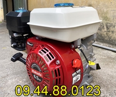 Động cơ xăng Rakuda 6.5HP