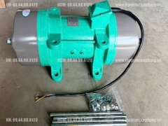 Máy đầm rung bê tông Nikipro 3KW  ZW-12 380V