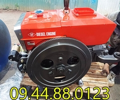 Đầu nổ Diesel Đông Phong D24 S1115M nước đề