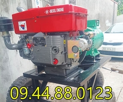 Đầu nổ Diesel Đông Phong D30 S1125D nước đề