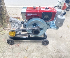 Đầu nổ Diesel QuanTrai D24 S1115ND gió đèn đề