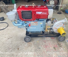 Đầu nổ Diesel QuanTrai D24 S1115ND gió đèn đề