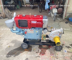 Đầu nổ Diesel QuanTrai D24 S1115ND gió đèn đề