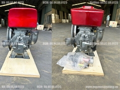 Đầu nổ Diesel QuanTrai D24 S1115ND gió đèn đề