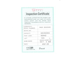 Tời điện mini Bison PA600 12m