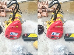 Tời điện treo Koio 500kg 30m 19 mét/phút