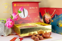 Bộ Hộp Quà Giấy Nam Châm Khay Hoa Mai 100G