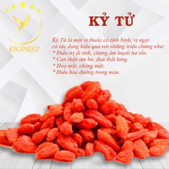 Kỷ Tử