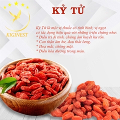 Kỷ Tử