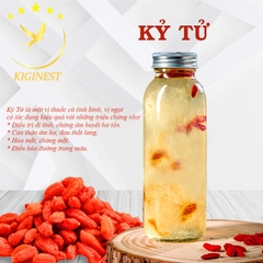 Kỷ Tử