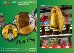 Các Loại Logo - Catalog