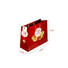 Các Mẫu Túi Giấy - Size 22x20Cm