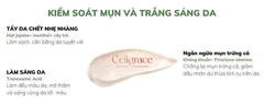 Sữa Rửa Mặt Naruko Trị Mụn Dạng Bùn Chiết Xuất Tràm Trà Tea Tree Purifying Clay Mask & Cleanser In 1 120g
