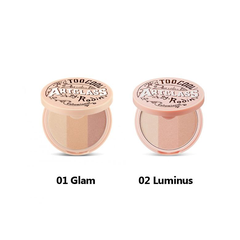 Phấn Bắt Sáng Ánh Nhũ 3 Màu Too Cool For School Art Class By Rodin Highlighter 11g