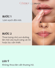 Son Dưỡng Môi IMAGE Ormedic Balancing Lip Enhancement Complex 7g