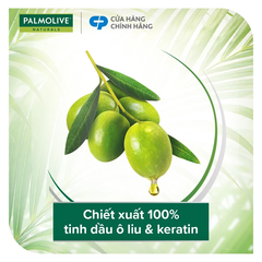 Dầu Gội PALMOLIVE Kèm Xả 2 Trong 1 Chiết Xuất Thiên Nhiên