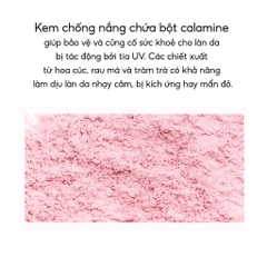 Kem Chống Nắng Kiềm Dầu, Nâng Tone Cho Da Sáng Hồng THE SAEM Pink Sun Cream EX SPF50+/PA++++ (Mới)