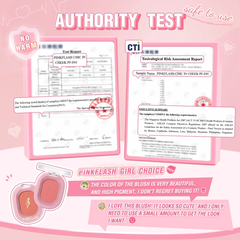 Phấn Má Hồng Pinkflash Soft Pigment Blush PF-F01 16G