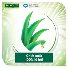 Dầu Gội PALMOLIVE Kèm Xả 2 Trong 1 Chiết Xuất Thiên Nhiên