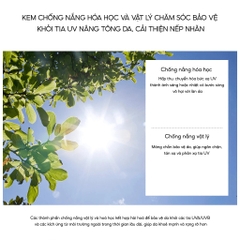 Kem Chống Nắng Kiềm Dầu, Nâng Tone Cho Da Sáng Hồng THE SAEM Pink Sun Cream EX SPF50+/PA++++ (Mới)