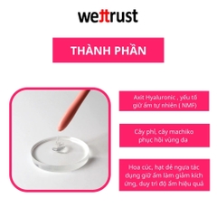 Đũa Thần Gel Dưỡng Ẩm Đa Năng Vùng Kín Wettrust Innergarm Inner Gel Moisturizing1.7g