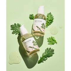 Tinh Chất ROUND LAB Chiết Xuất Ngải Cứu Dưỡng Làm Dịu Da Mugwort Calming Serum 50ml