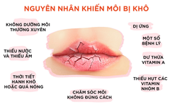 Son Dưỡng DHC Không Màu Cho Môi Mềm Mại, Mịn Màng, Hỗ Trợ Giảm Thâm Môi Lip Cream 1.5g